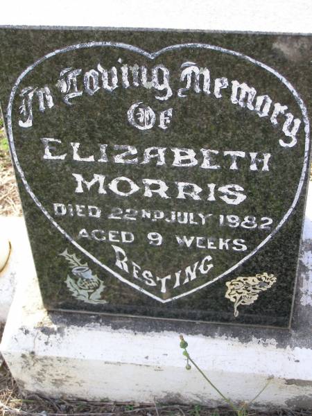 Elizabeth MORRIS,  | died 22 July 1982 aged 9 weeks;  | Helidon General cemetery, Gatton Shire  | 