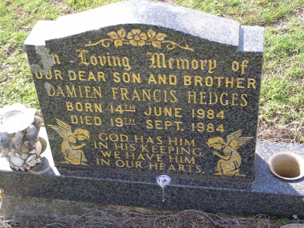 Damien Francis HEDGES,  | son brother,  | born 14 June 1984  | died 19 Sept 1984;  | Helidon General cemetery, Gatton Shire  | 