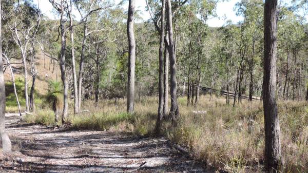   | Herberton Pioneer - Rose Lane Cemetery  |   |   |   | 