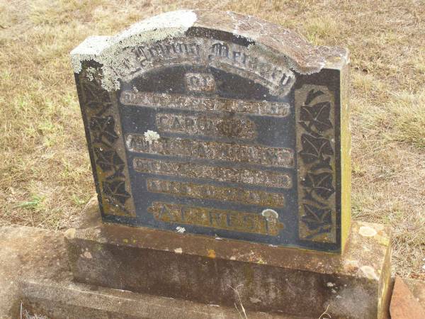 Caroline Augusta WILLIMS,  | sister aunt,  | died 4 Oct 1958 aged 81 years;  | Highfields Baptist cemetery, Crows Nest Shire  | 