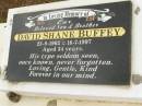 David Shane BUFFEY, son brother, 23-8-1962 - 16-7-1997 aged 34 years; Howard cemetery, City of Hervey Bay 