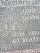 
Mary Ann Susannah McAlpine STELEY,
died 13 June 1939 aged 78 years;
John Bevan STELEY,
died 8 June 1940 aged 87 years;
Howard cemetery, City of Hervey Bay

