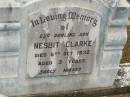 Nesbit CLARKE, son, died 6 Oct 1932 aged 3 years; Howard cemetery, City of Hervey Bay 