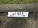 James LAING, died 1-11-1958; Howard cemetery, City of Hervey Bay 