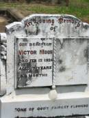 Victor MOON, son, died 12 Feb 1926 aged 7 years 8 months; Howard cemetery, City of Hervey Bay 