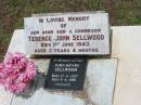 Terence John SELLWOOD, son grandson, died 1 June 1943 aged 3 years 4 months; John Henry SELLWOOD, dad, born 17-4-1917, died 9-4-1998, cremated; Howard cemetery, City of Hervey Bay 