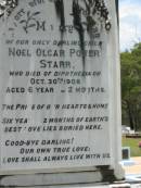 Noel Olgar Power STARR, only child, died diphtheria 30 Oct 1908 aged 6 years 2 months; Howard cemetery, City of Hervey Bay 