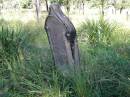
Christian Friedrich Gottfried HENSELIN,
born 22 Feb 1827 Germany,
died 16 June 1894;
HoyaBoonah Baptist Cemetery, Boonah Shire
