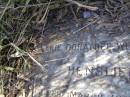 Marie Dorathee Wilhelmine HENSLIEN, born 13 March 1833 died 16 July 1909; Hoya/Boonah Baptist Cemetery, Boonah Shire 