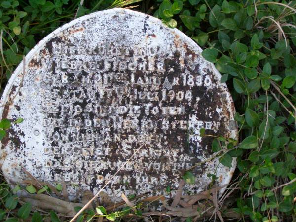 Wiebke FISCHER,  | born 21 Jan 1830 died 17 July 1904;  | Paul FISCHER, husband,  | born 14 April 1828 died 10 June 1911;  | erected by son Marcus FISCHER;  | Hoya/Boonah Baptist Cemetery, Boonah Shire  | 