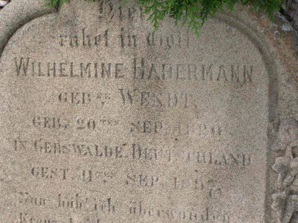 Wilhelmine HABERMANN (geb WENDT)  | geb 20 Sep 1820  | in Gebswalde Deutchland  | gest 11 Sep 1897  |   | Hoya Lutheran Cemetery, Boonah Shire  |   | 