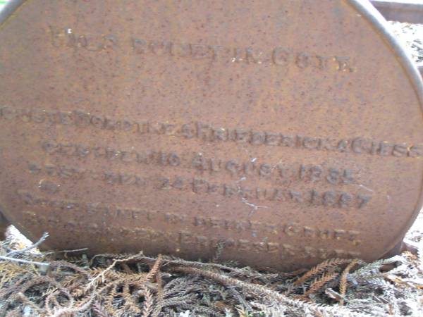 Auguste Dorothe Friedricka GIESS  | geb  10 Aug 1885  | gest 24 Feb 1887  | Pauline Johanne Mathilda GUSE  | geb:  4 Maerz (Mar) 1880,  | gest: 28 Januar 1897  | Hoya Lutheran Cemetery, Boonah Shire  |   | 