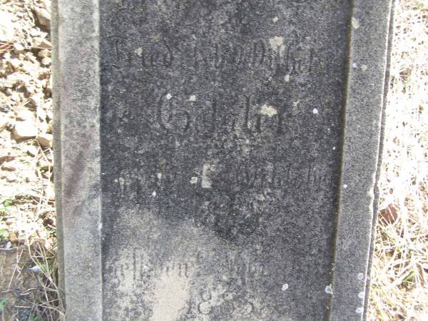 Fried  |   Gdaler  | 2 Nov 1885  | Hoya Lutheran Cemetery, Boonah Shire  |   | 