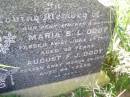 
Maria B.L. DODT, mother,
died 23 June 1910 aged 32 years;
August F.J. DODT, father,
died 26 March 1957 aged 84 years;
Ingoldsby Lutheran cemetery, Gatton Shire
