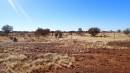 
JC pub ruins, Canterbury, Barcoo Shire, QLD
Copyright: Nicholas Fletcher, 2017

