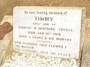 Timmy, only son of Timothy & Gertrude TOVELL, died 31 Jan 1919 aged 3 years 6 months; Jandowae Cemetery, Wambo Shire 