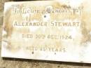 Alexander STEWART, died 30 Dec 1924 aged 85 years; Jandowae Cemetery, Wambo Shire 