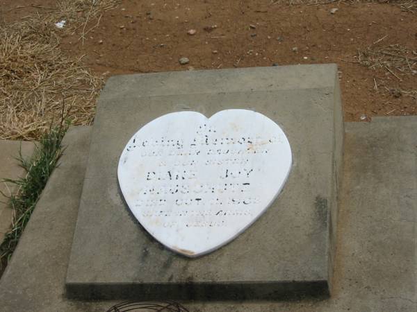 Elaine Joy NAUSCHUTZ,  | daughter sister,  | died 11 Oct 1968;  | Jandowae Cemetery, Wambo Shire  | 