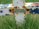 
R.E. DANN;
Jandowae Cemetery, Wambo Shire
