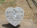 
Tony SMITH,
baby son,
died 1 April 1966;
Jandowae Cemetery, Wambo Shire
