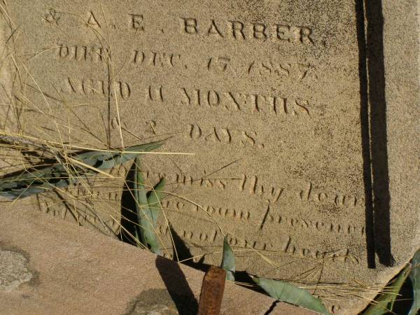 Louis Edward,  | son of H.C.F. & A.E. BARBER,  | died 17 Dec 1887 aged 11 months 2 days;  | Jondaryan cemetery, Jondaryan Shire  | 