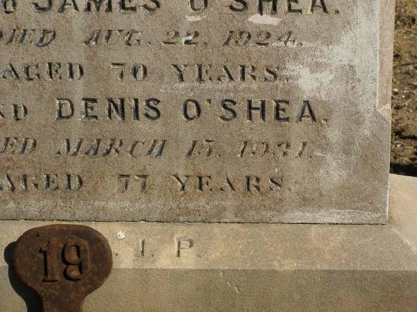 James O'SHEA,  | father,  | died 18 June 1896 aged 75 years;  | Bridget O'SHEA,  | mother,  | died 29 Nov 1901 aged 78 years;  | erected by son James O'SHEA;  | James O'SHEA,  | died 22 Aug 1925 aged 70 years;  | Dennis O'SHEA,  | died 13 Mach 1941 aged 77 years;  | Jondaryan cemetery, Jondaryan Shire  | 