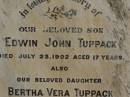 
Edwin John TUPPACK,
son,
died 23 July 1902 aged 17 years;
Bertha Vera TUPPACK,
daughter,
died 1 Jan 1903 aged 21 years;
Jondaryan cemetery, Jondaryan Shire
