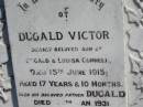 Dugald Victor, son of Dugald & Louisa CONNELL, died 15 June 1915 aged 17 years 10 months; Dugald, father, died 30 Jan 1931 aged 65 years 3 months; Louisa, wife, mother of Dugald Victor, died 16 Feb 1960 aged 89 years 6 months; Jondaryan cemetery, Jondaryan Shire 
