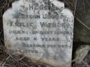 
Emilie WEBER
21 Aug 1899, aged 8
Engelsburg Baptist Cemetery, Kalbar, Boonah Shire

