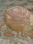 
Wilhelmine GOETKE (geb HENNINGS)
aged 77 years, 7 months
Engelsburg Baptist Cemetery, Kalbar, Boonah Shire
