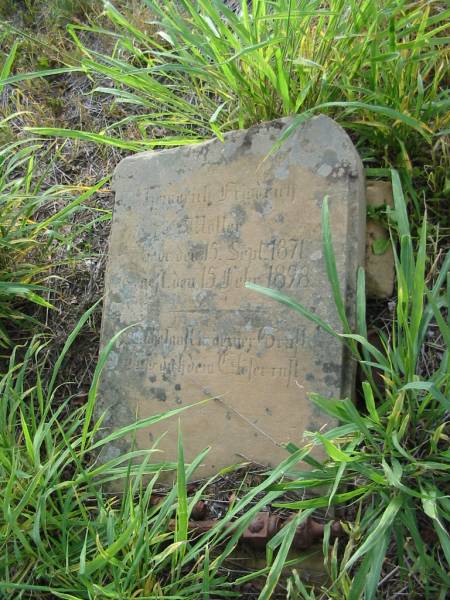 Heinrich Friedrich MOLLER  | b: 15 Sep 1871, d: 15 Feb 1898  | Engelsburg Baptist Cemetery, Kalbar, Boonah Shire  | 