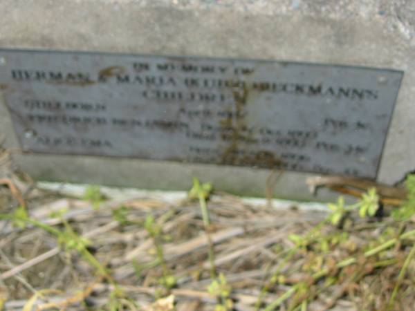 Herman and Maria (KUTH?) DIECKMANN's children  | ?  |   | Engelsburg Baptist Cemetery, Kalbar, Boonah Shire  | 