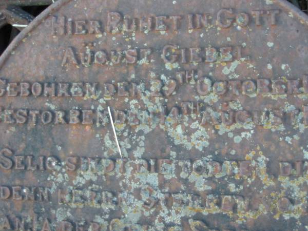 August GIEBEL  | b: 29 Oct 1830, d: 14 Aug 1907  | Engelsburg Baptist Cemetery, Kalbar, Boonah Shire  | 