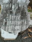 Helen O'CALLAGHAN 12 Jun 1949 Kalbar Catholic Cemetery, Boonah Shire 