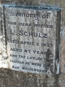 
H. SCHULZ, father,
died 22 July 1926 aged 58 years;
L. SCHULZ, mother,
died 2 April 1927 aged 47 years;
Kalbar General Cemetery, Boonah Shire
