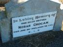 
Norah GROGAN, mother,
died 26 June 1953 aged 78 years;
Kalbar General Cemetery, Boonah Shire

