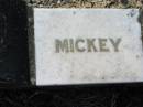 
Leslie R. DIECKMANN (Mickey), son brother,
accidentally killed 22 May 1964 aged 24 years;
Kalbar General Cemetery, Boonah Shire
