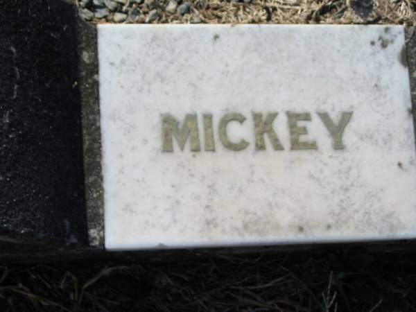 Leslie R. DIECKMANN (Mickey), son brother,  | accidentally killed 22 May 1964 aged 24 years;  | Kalbar General Cemetery, Boonah Shire  | 