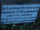 
George F PFLUGRATH
17 Jan 1935, aged 13 years 10  12 months
St Johns Lutheran Church Cemetery, Kalbar, Boonah Shire

