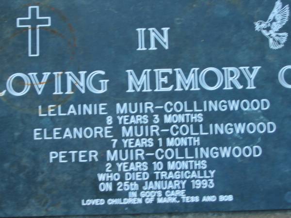 Lelainie MUIR-COLLINGWOOD  | 8 years 3 months  | Eleanore MUIR-COLLINGWOOD  | 7 years 1 month  | Peter MUIR-COLLINGWOOD  | 2 years 10 months  | died tragically 25 Jan 1993  | (children of Mark, Tess and Bob)  | St John's Lutheran Church Cemetery, Kalbar, Boonah Shire  |   | 