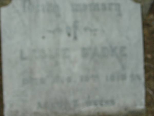 Leslie BADKE  | d: Aug 19 1913, aged 7 weeks  | Cecil  | 1 May 1916, aged 9 weeks  | St John's Lutheran Church Cemetery, Kalbar, Boonah Shire  |   | 
