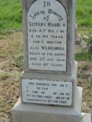 Geffery MADDICK, died 5 Dec 1901 aged 84 years 6 months; Wilhelmina, relict, died 8 Aug 1904 aged 67 years; parents 