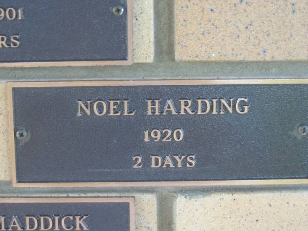 Noel HARDING,  | 1920 aged 2 days;  | Engelsburg Methodist Pioneer Cemetery, Kalbar, Boonah Shire  | 