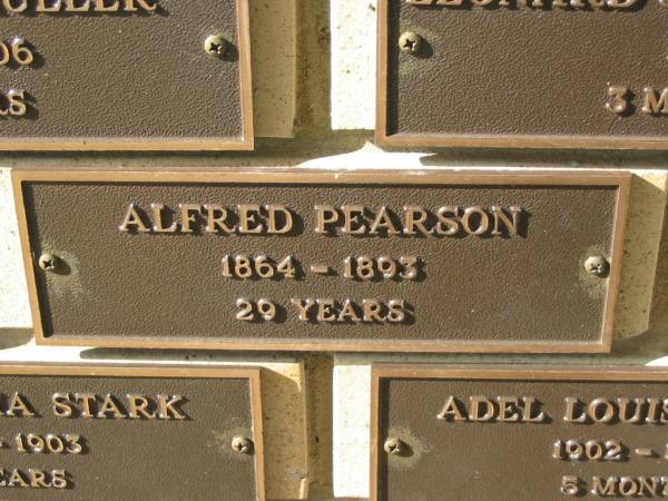 Alfred PEARSON,  | 1864 - 1893 aged 29 years;  | Engelsburg Methodist Pioneer Cemetery, Kalbar, Boonah Shire  | 