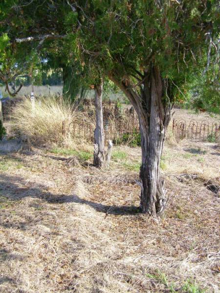 Kalbar St Marks's Lutheran cemetery, Boonah Shire  | 