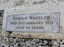 
Harold WHEELER,
died 21 Jan 1951 aged 43 years;
Diane Claire WHEELER,
died 6 Dec 1952 aged 8 months;
Lorna Mavis WHEELER,
17-11-1926 - 3-9-1994;
Kandanga Cemetery, Cooloola Shire
