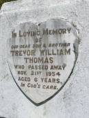 
Trevor William THOMAS, son brother,
died 21 Nov 1954 aged 6 years;
Kandanga Cemetery, Cooloola Shire
