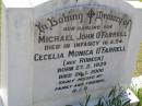 
Michael John OFARRELL, son,
died infancy 16-9-54;
Cecelia Monica OFARRELL (nee ROBECK),
born 27-2-1929 died 26-1-2000;
Kandanga Cemetery, Cooloola Shire
