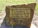 
Viv MILLERS,
died 16-10-1993;
Myrtle MILLERS,
28-1-1995;
Kandanga Cemetery, Cooloola Shire
