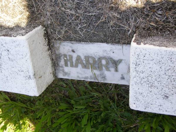Henry G. (Harry) YOUNG, son brother,  | died 23 March 1960 aged 2 years 6 months;  | Kandanga Cemetery, Cooloola Shire  | 